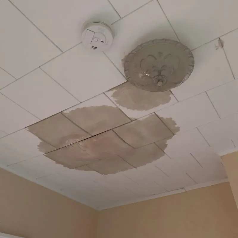 Ceiling Water Damage Repair in Prairie Grove, IL