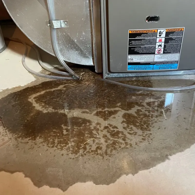 Pipe Burst and Leak Restoration in Prairie Grove, IL