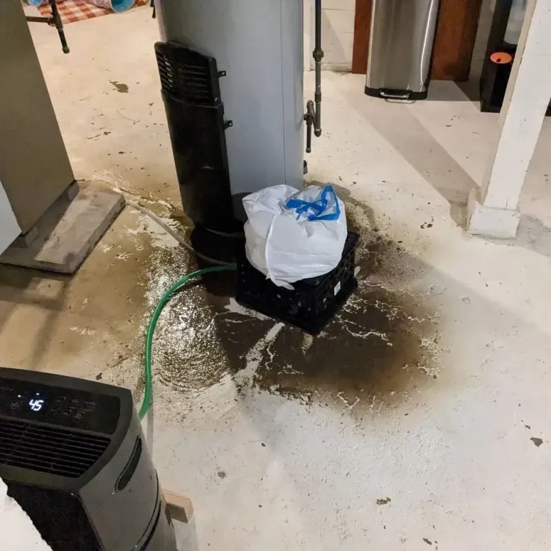 Sewage Backup Cleanup Service in Prairie Grove, IL